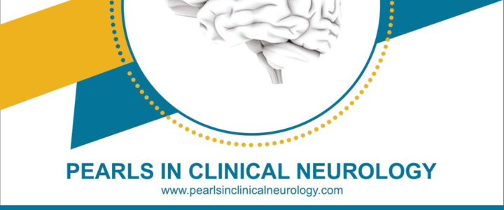 PCN 10th Annual Conference 2024 PCN 10th Annual Conference 2024